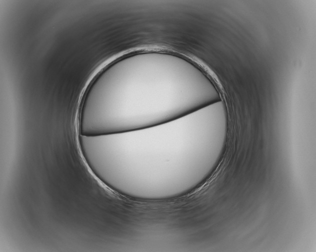 X0000116351343200912011031