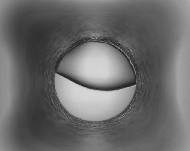 X0000116351349200912011030