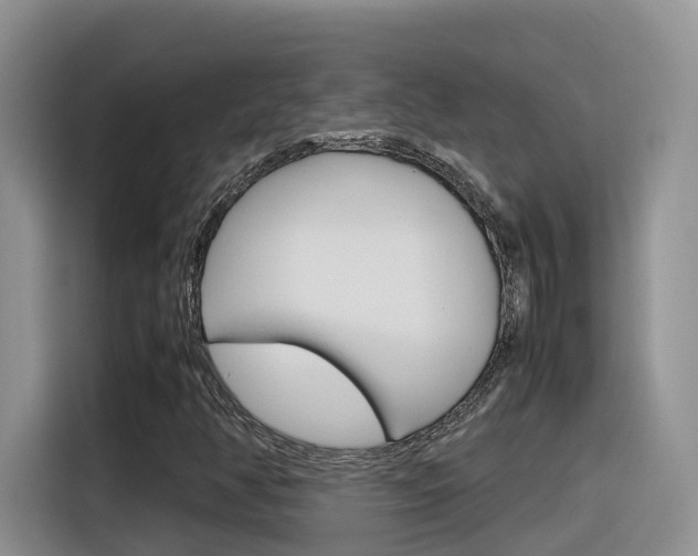X0000116351350200912011030