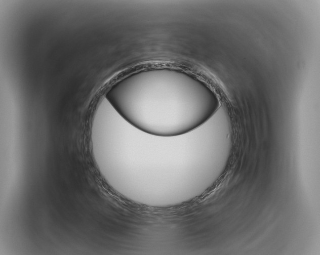 X0000116351352200912011030