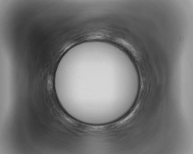 X0000116351353200912011030