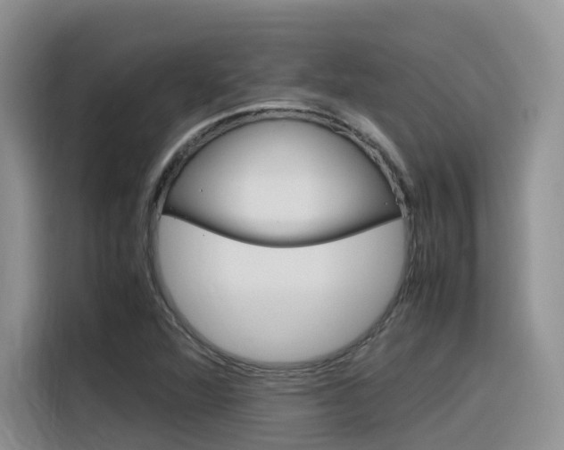 X0000116351360200912011030