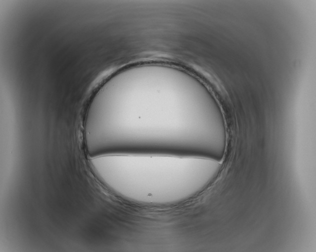 X0000116351363200912011030