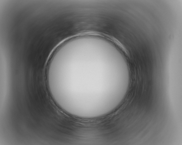 X0000116351364200912011030