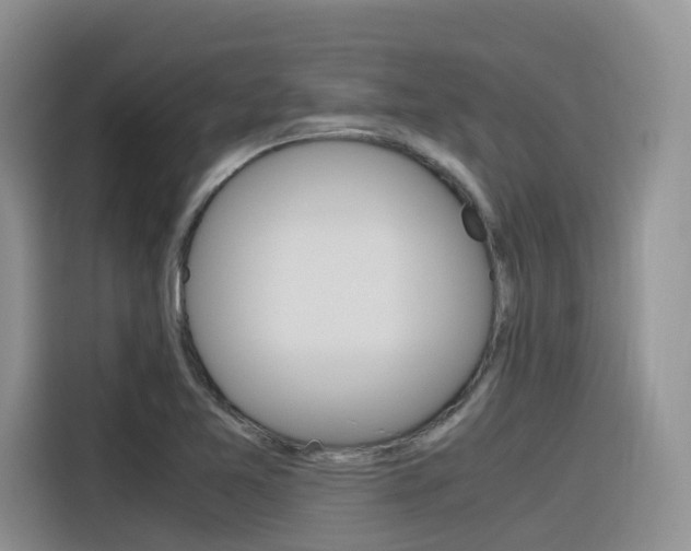 X0000116351365200912011030