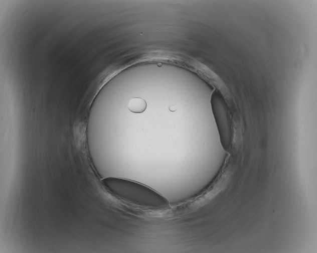 X0000116351369200912011030