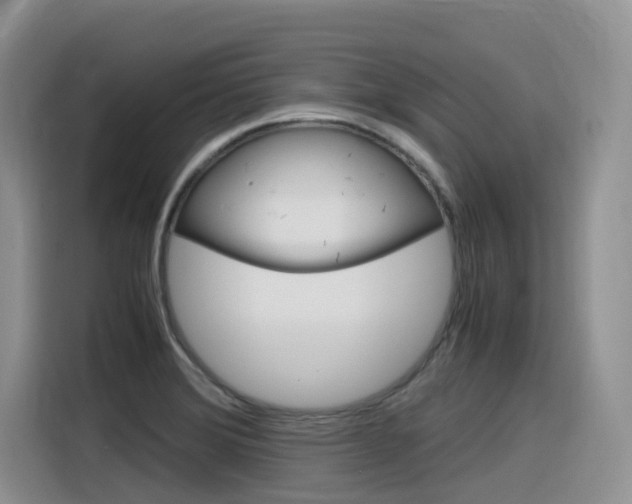 X0000116351372200912011030