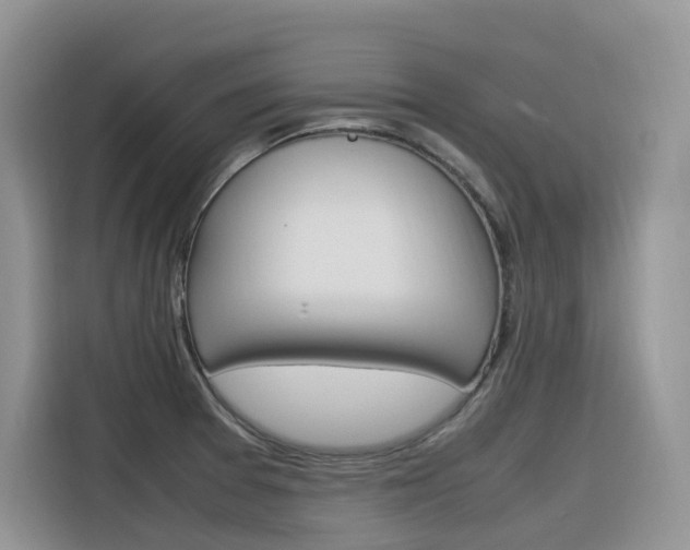 X0000116351377200912011030