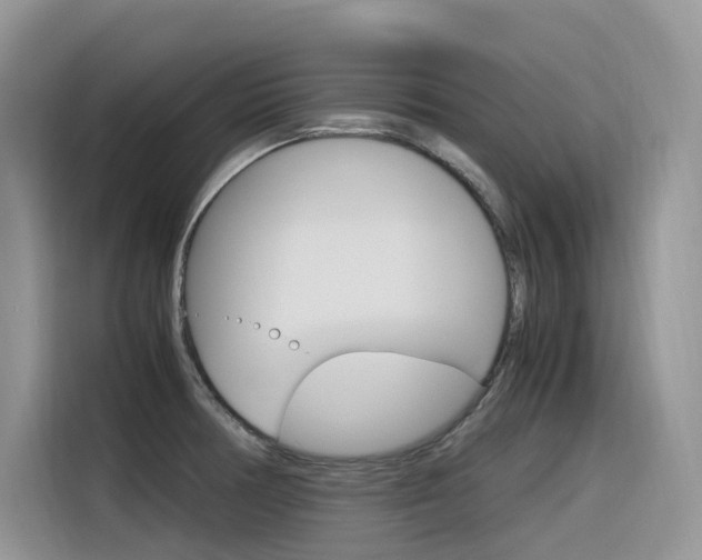X0000116351378200912011030