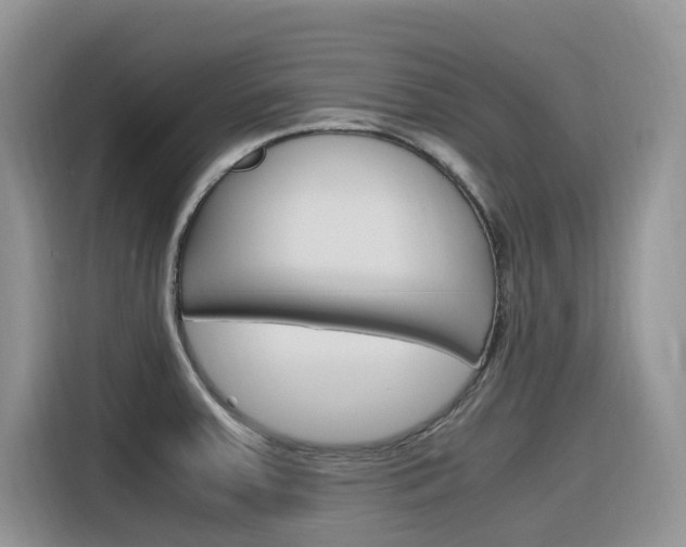 X0000116351379200912011030