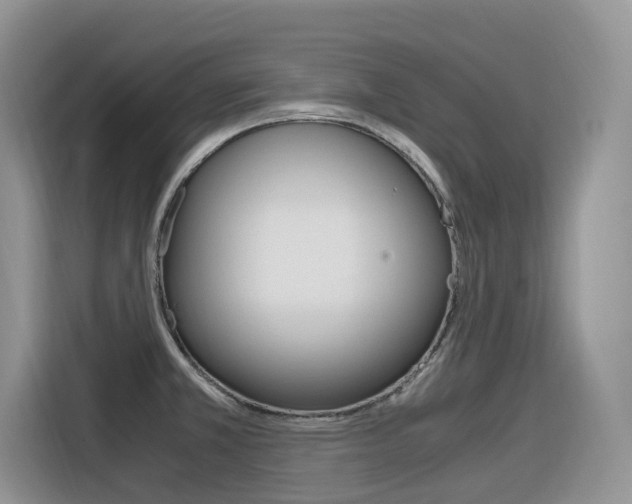 X0000116351381200912011030