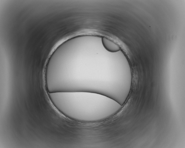 X0000116351382200912011030