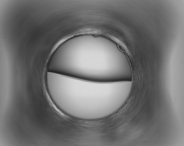 X0000116351383200912011030