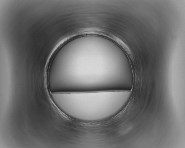X0000116351384200912011029