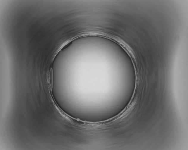 X0000116351385200912011029