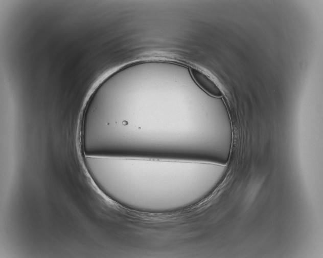 X0000116351387200912011029