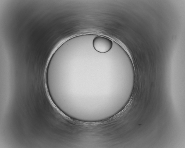 X0000116351389200912011029