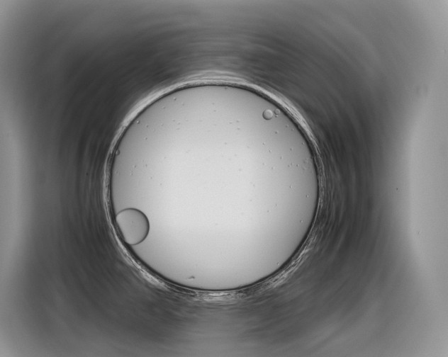 X0000116351390200912011029