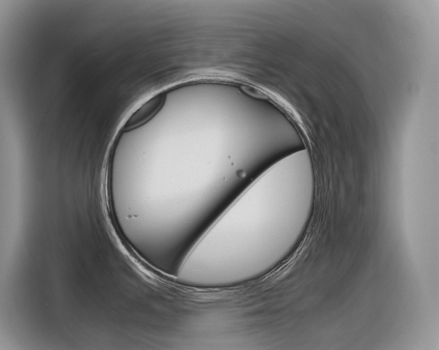 X0000116351391200912011029