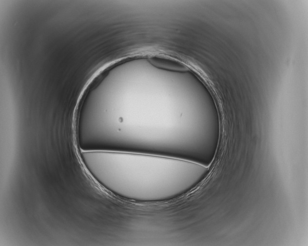 X0000116351392200912011029
