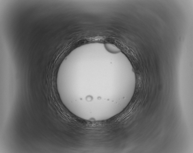 X0000116351393200912011029