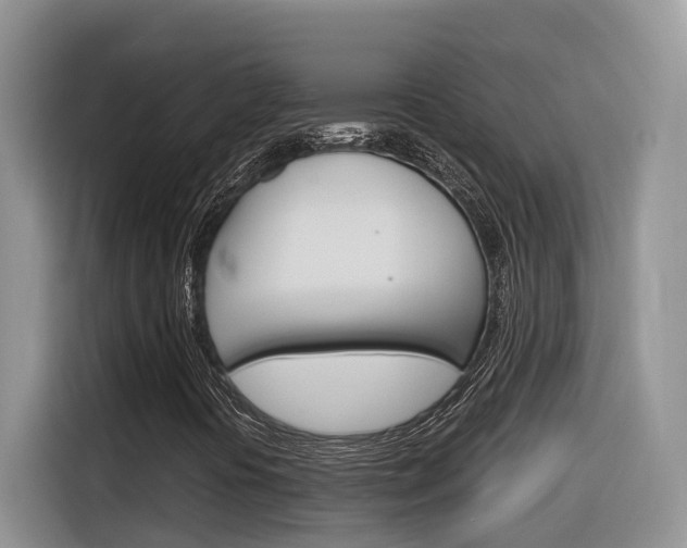 X0000116351394200912011029