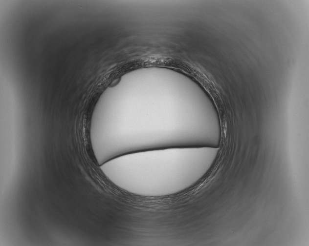 X0000116351396200912011029