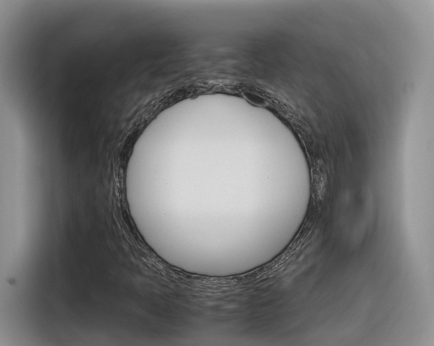 X0000116351397200912011029