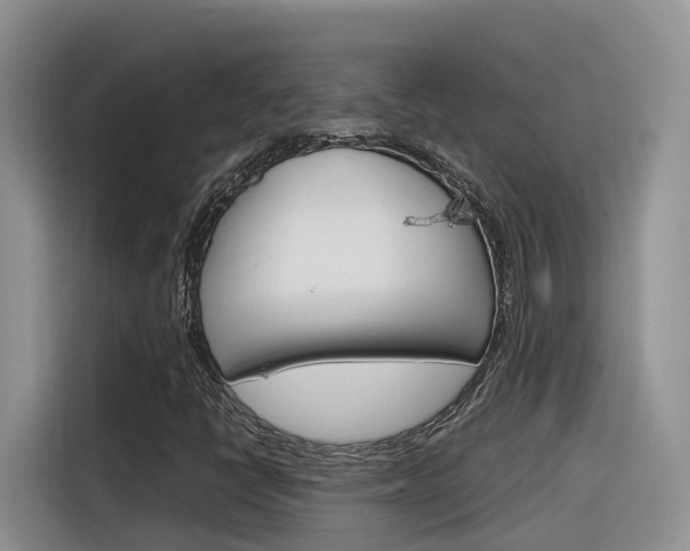 X0000116351398200912011029