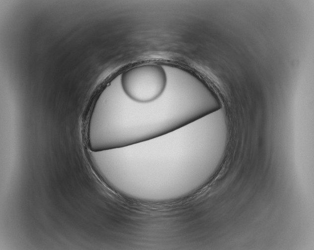 X0000116351404200912011029