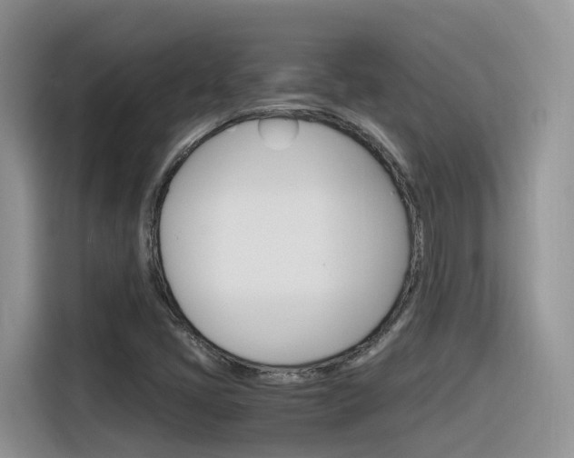 X0000116351405200912011029