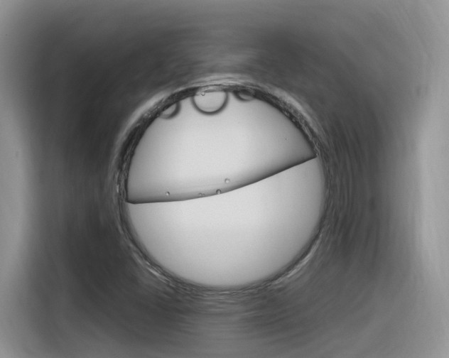 X0000116351406200912011029
