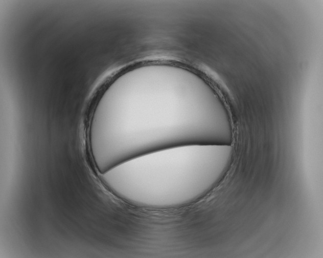 X0000116351408200912011029