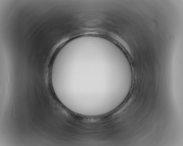 X0000116351411200912011029