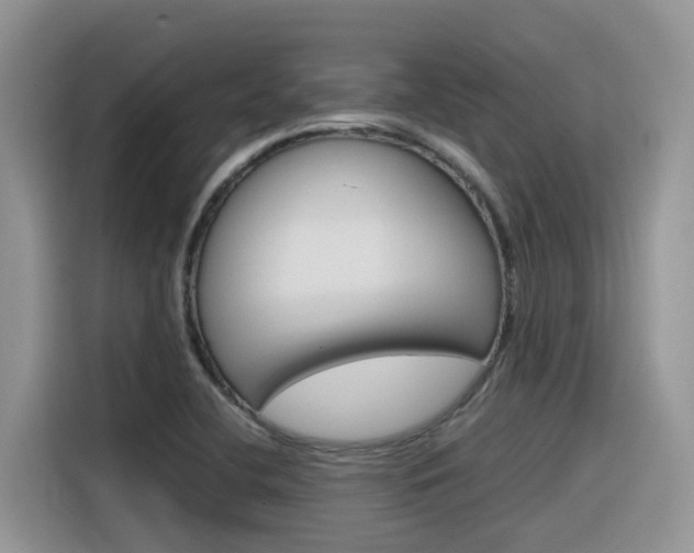 X0000116351412200912011029