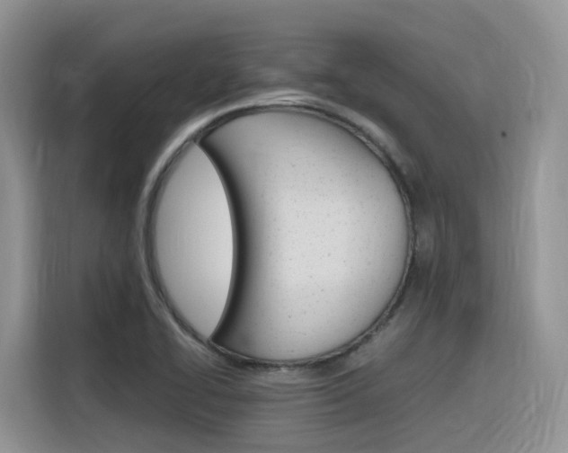 X0000116351414200912011029