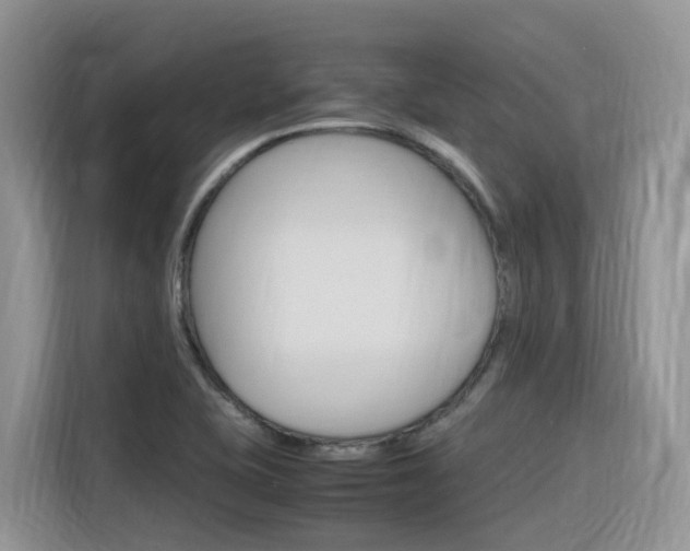 X0000116351415200912011029