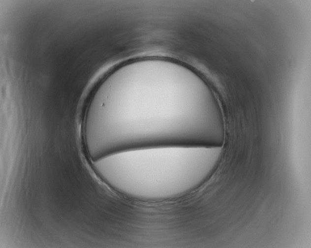 X0000116351416200912011029