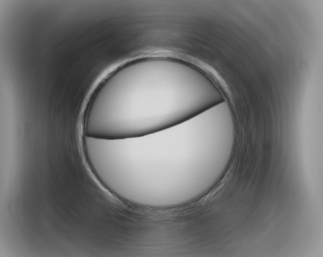 X0000116351424200912011029
