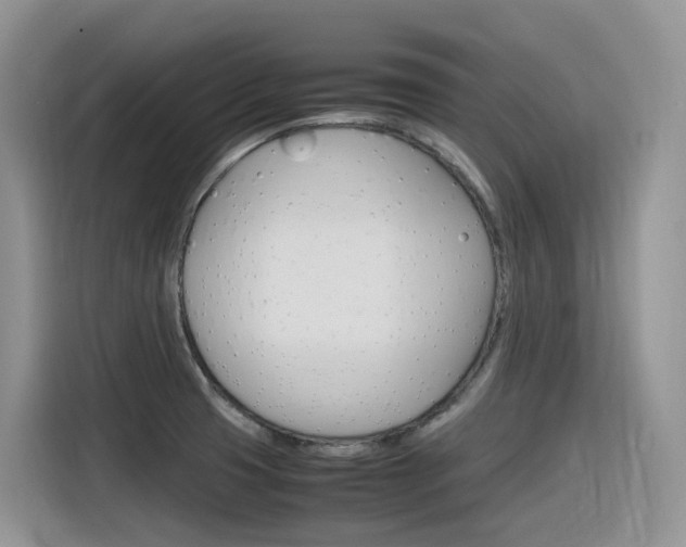 X0000116351425200912011029