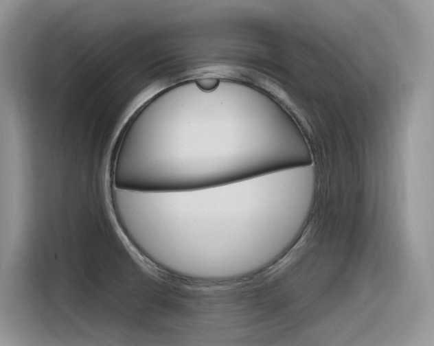 X0000116351426200912011029