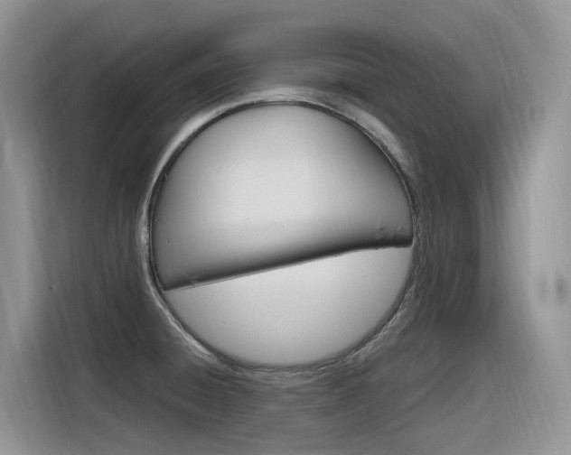 X0000116351428200912011029
