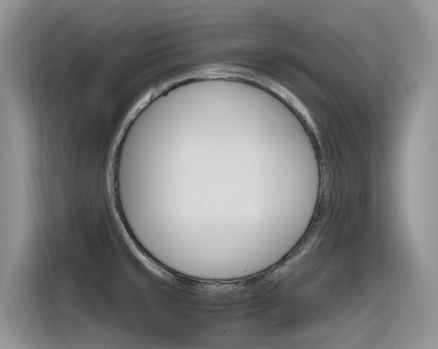 X0000116351429200912011029