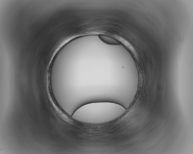 X0000116351431200912011029