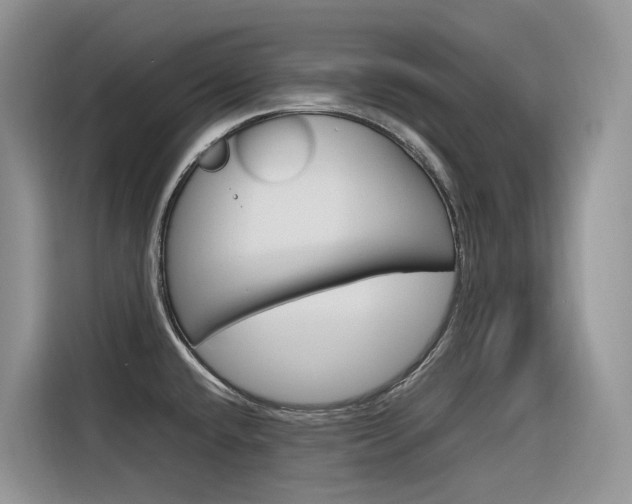 X0000116351432200912011029