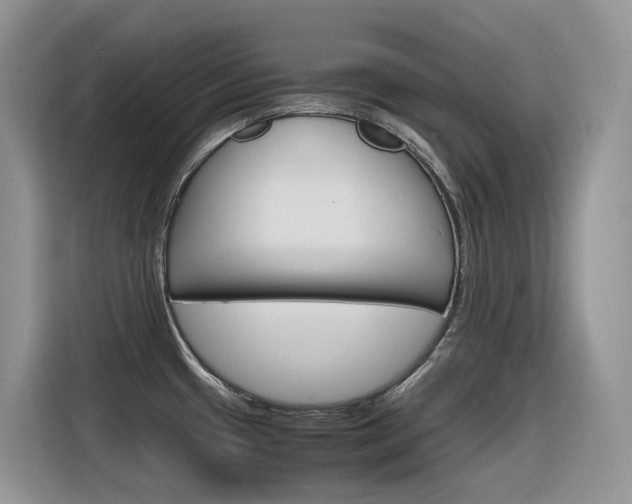 X0000116351433200912011029
