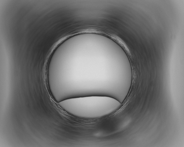 X0000116351435200912011029