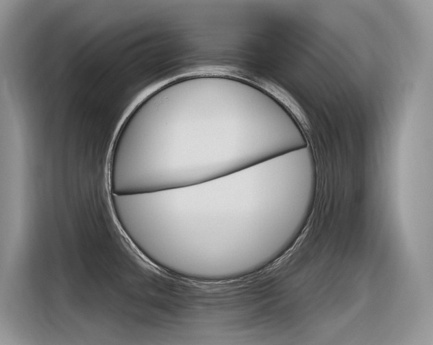 X0000116351436200912011029