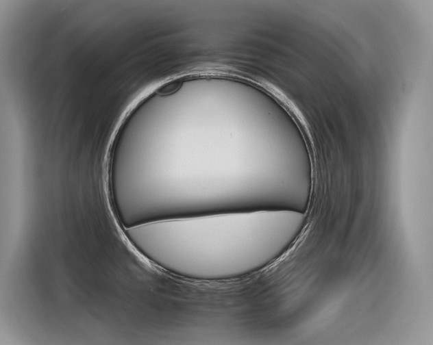 X0000116351437200912011029