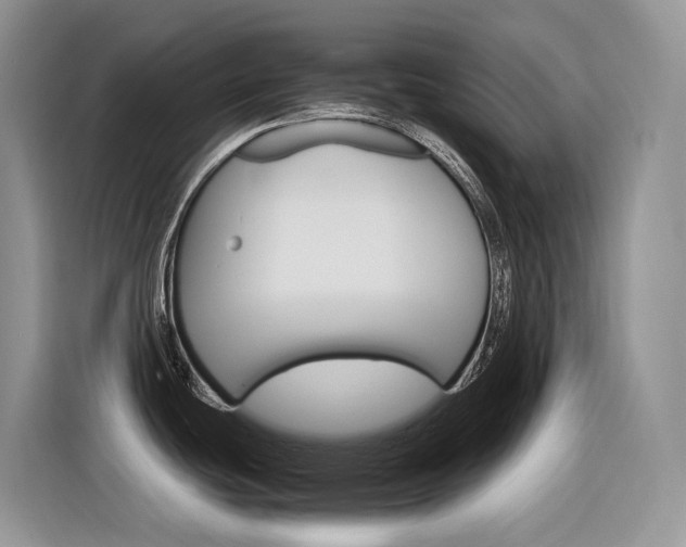 X0000116351439200912011029